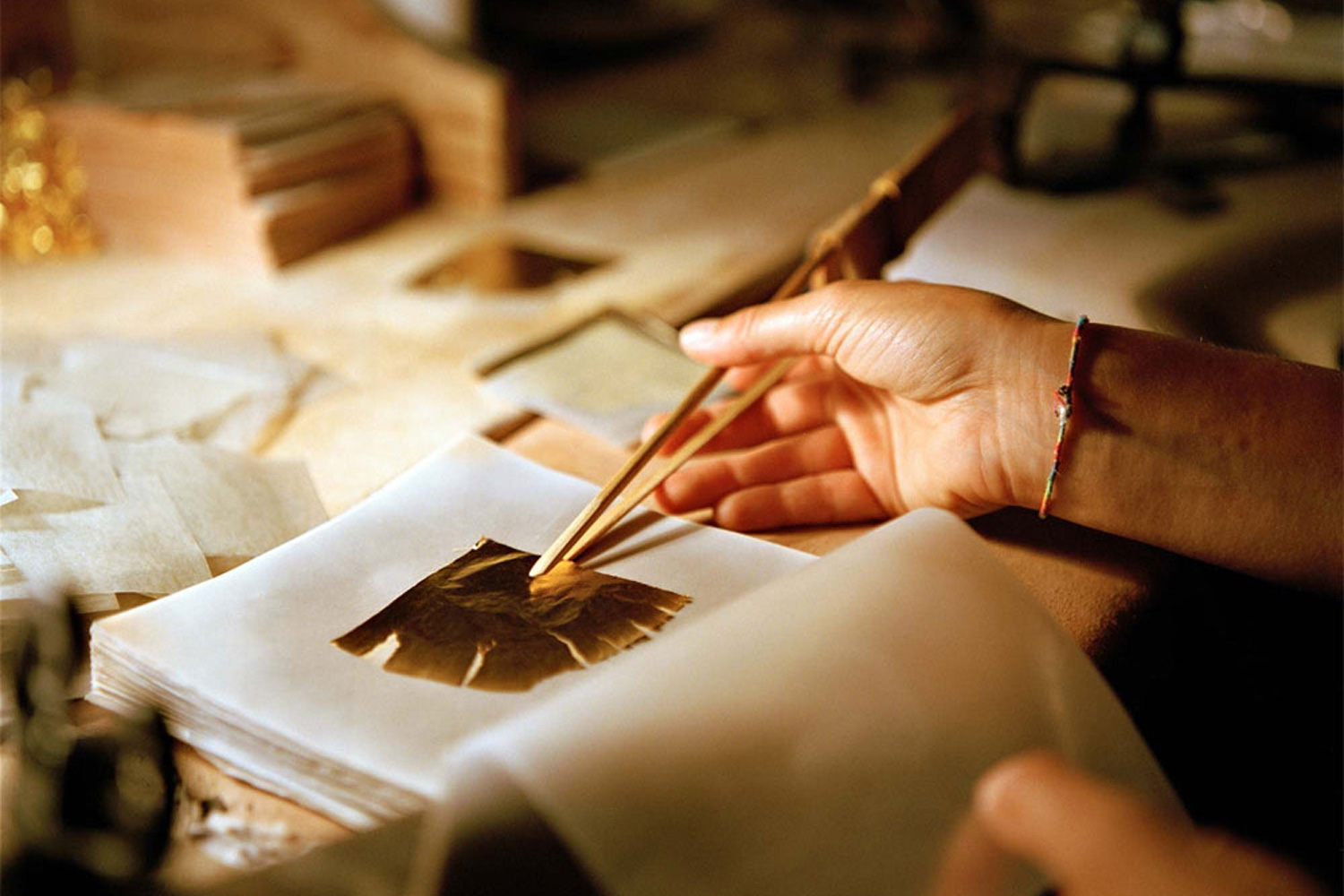 Michelangelo Foundation visual 4