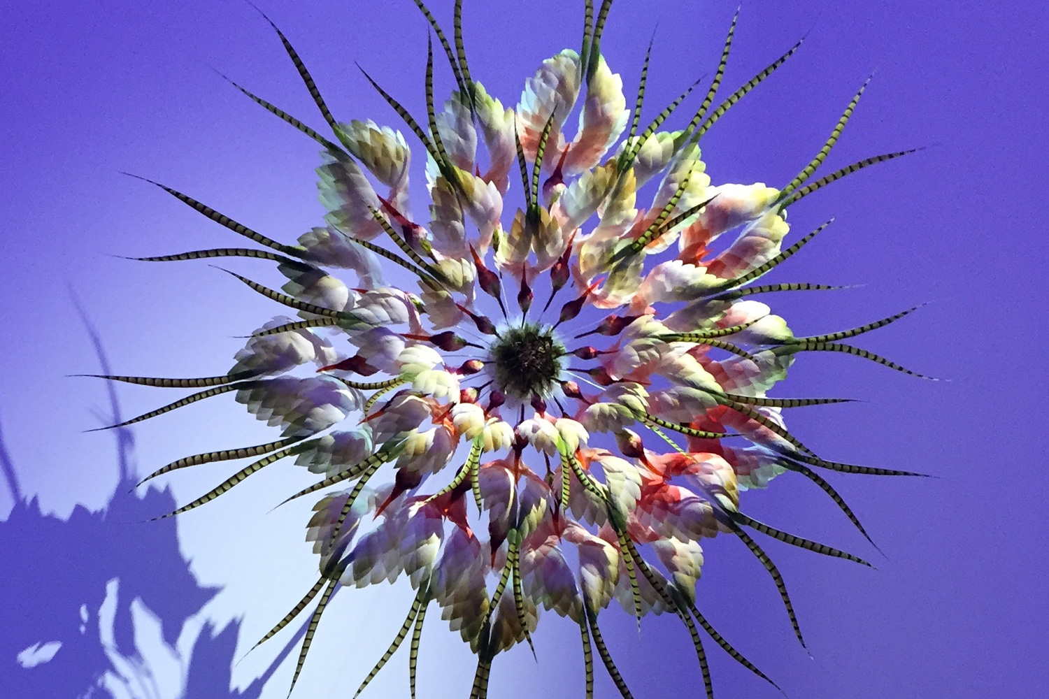 Nelly Saunier visual 1